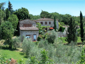 Campo Agli Olivi